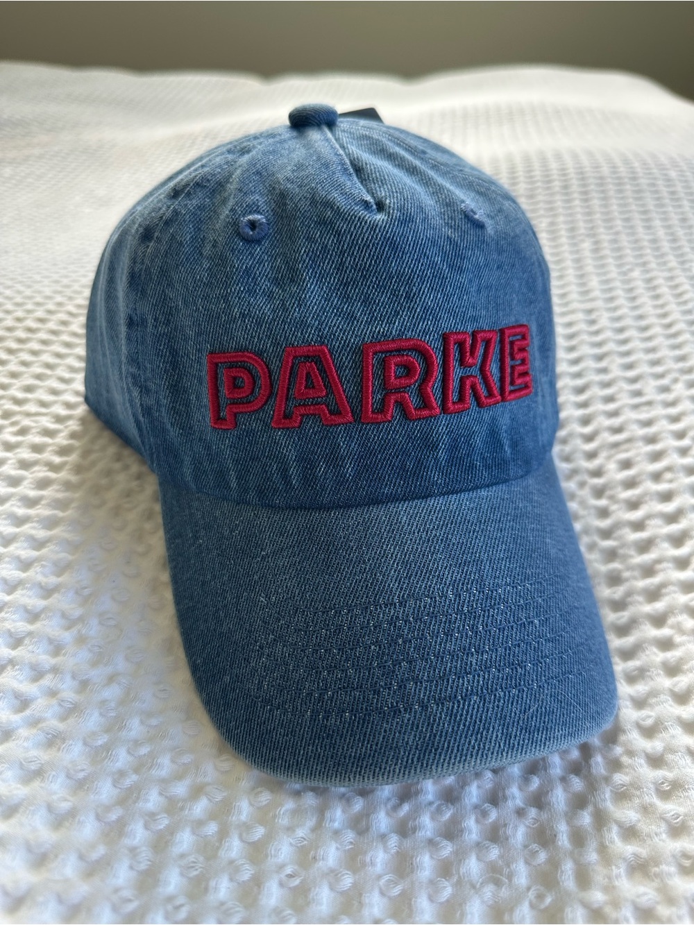NWT Parke x Target Cap